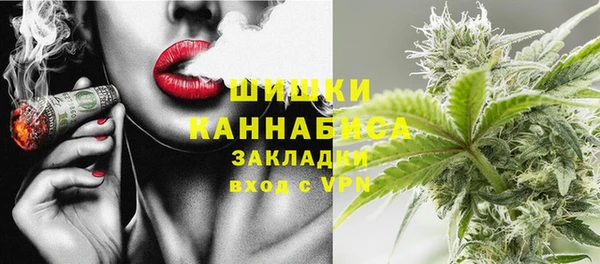 метадон Няндома