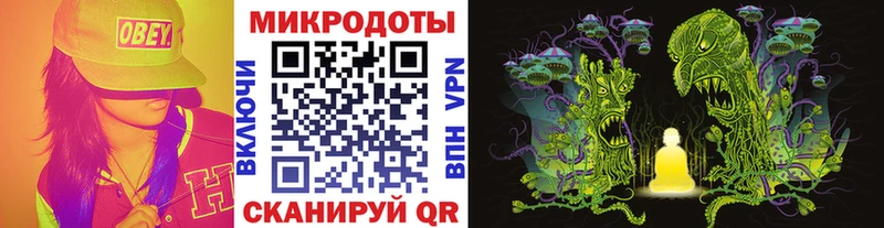 Купить  Сунжа  Псилоцибиновые грибы Psilocybine cubensis 